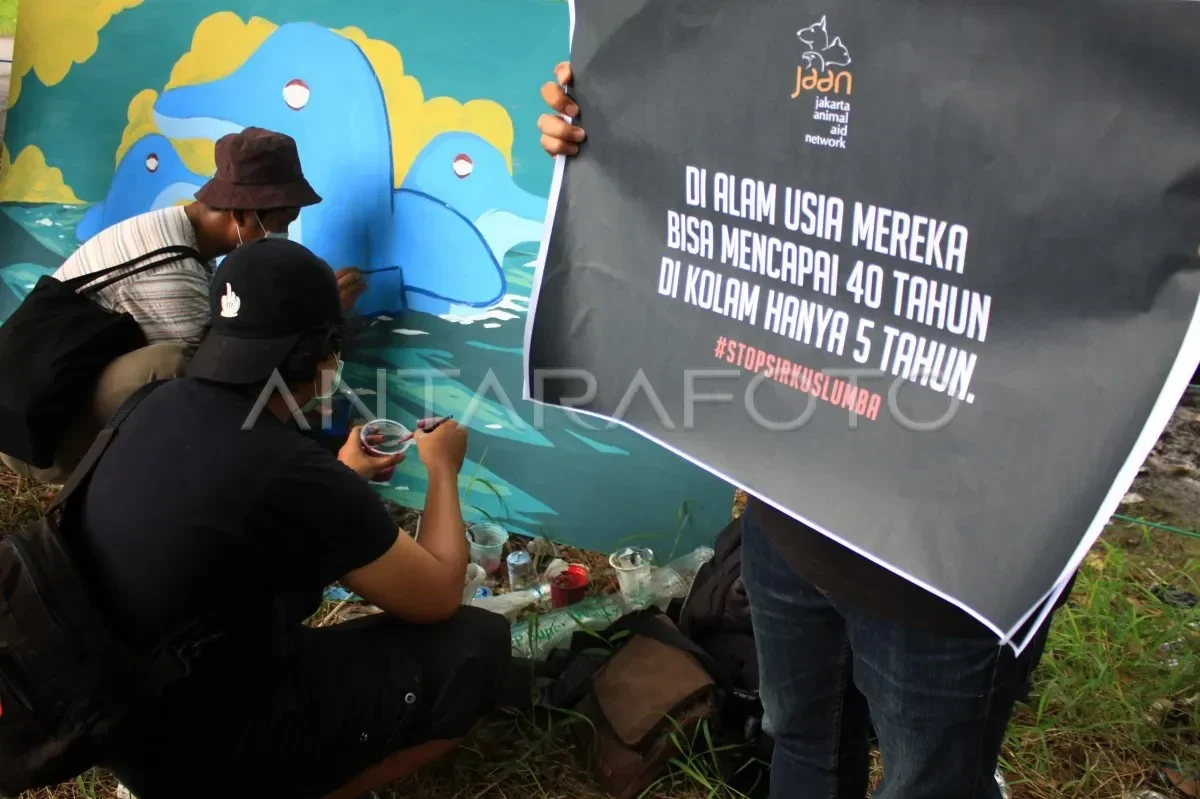 venice geger lumba lumba liar muncul di kanal bikin wisatawan terpukau sekaligus khawatir portal berita terbaru