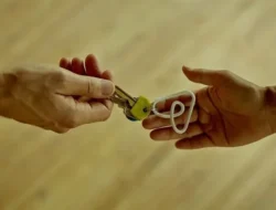 Viral! Rating Sempurna Airbnb Hancur Lebur Cuma Gara-gara Suara Domba, Curhat Host Bikin Geleng-geleng!