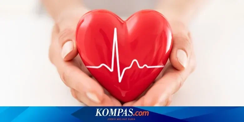waspada bukan serangan jantung aritmia justru jadi pembunuh senyap usia muda portal berita terbaru