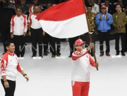 Bukan Cuma Berita! Ini Alasan Footer CNN Indonesia Wajib Kamu Perhatikan