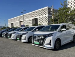 BYD Blak-blakan! Mobil PHEV Bisa Jadi Penyelamat di Indonesia, Tapi Terganjal Aturan yang Bikin Pusing!