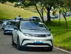 BYD dan Komunitas Mobil Listrik Beyond Bikin Gebrakan Lingkungan: Tanam 500 Mangrove, Serap 10 Ton CO2!