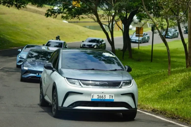 byd dan komunitas mobil listrik beyond bikin gebrakan lingkungan tanam 500 mangrove serap 10 ton co2 portal berita terbaru