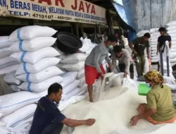Kementan Buka-bukaan Soal Impor Beras: Bukan untuk Konsumsi Umum, Petani Aman!