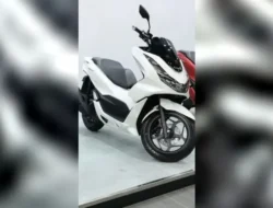 Misteri Penjualan Honda: 17 Model Baru Rilis, Kok Cuma Naik Tipis? AHM Buka Suara!