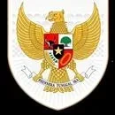 pssi di persimpangan giovanni van bronckhorst atau john herdman siapa yang akan bawa timnas indonesia terbang tinggi portal berita terbaru