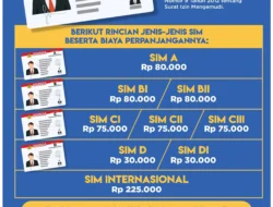SIM Mati Saat Libur Panjang? Jangan Panik, Ternyata Masih Bisa Diperpanjang!