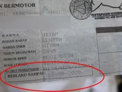 STNK Mati Pas Liburan Panjang? Tenang, Ada Toleransi! Tapi Jangan Sampai Kebablasan, Ini Rahasia Bebas Denda!