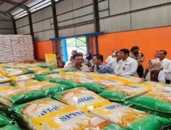 Terbongkar! Dirjen Bea Cukai Ungkap Alasan Ratusan Ton Beras Impor Lolos di Sabang & Batam