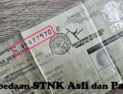 Awas Kena Tipu! Ini 5 Tanda STNK Asli yang Wajib Kamu Tahu Sebelum Beli Kendaraan Bekas