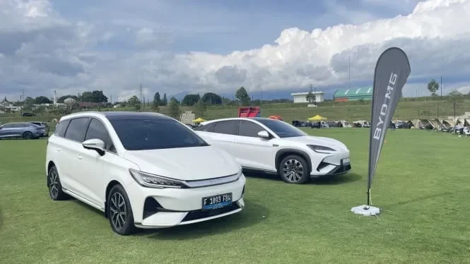 geger pasar mobil 2025 toyota tetap raja tapi byd bikin kejutan besar data gaikindo terungkap portal berita terbaru